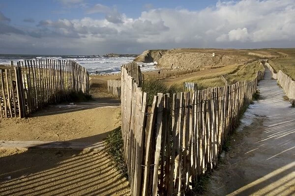 Footpath leading to beach - Cote-Sauvage - Brittany - France