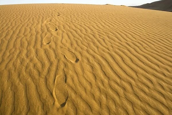 Footprints leading over a dune - Late evening sunlight - Dune Sea - Namib Desert - Namibia - Africa