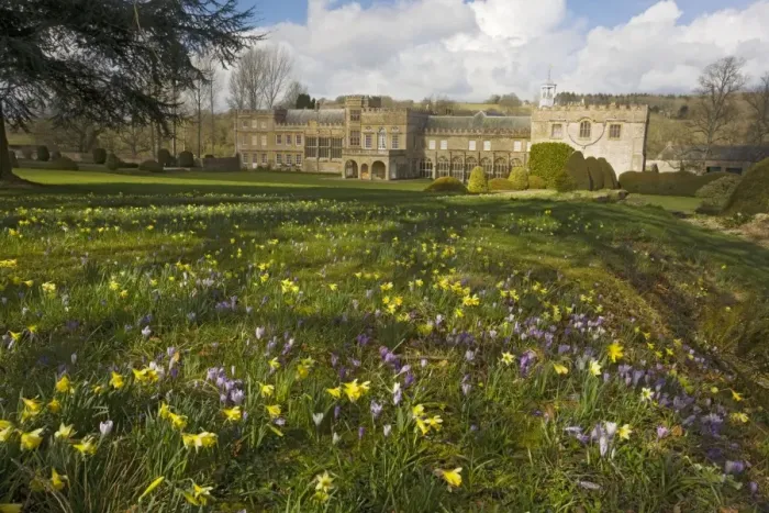 Framed Print : Forde Abbey, Dorset, in early spring, with daffodils, crocuses etc. Originally a medieval Cistercian Abbey Framed Print : Forde Abbey, Dorset, in early spring, with daffodils, crocuses etc. Originally a medieval Cistercian Abbey