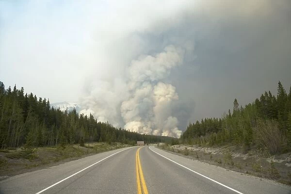 Forest Fire - controlled burn June 2009 Saskatchewan Valley Banff National Park Alberta, Canada LA003946