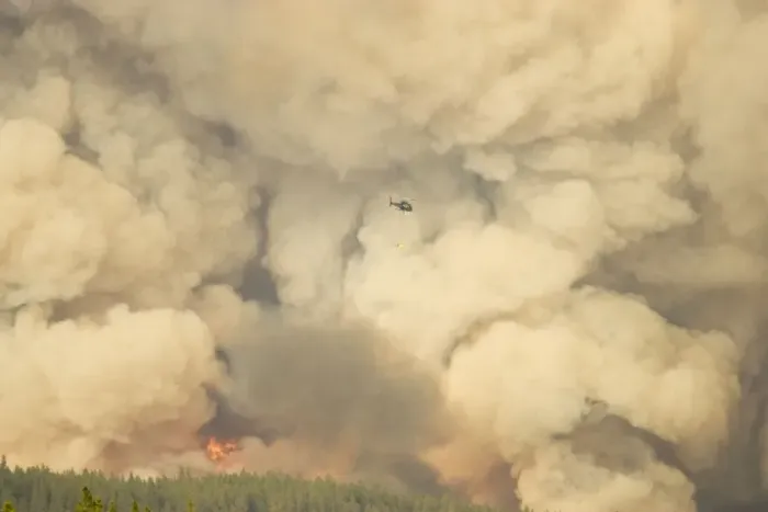 Framed Print : Forest Fire - controlled burn June 2009 with fire setting helicopter Saskatchewan Valley Banff National Park Alberta, Canada LA003983 Framed Print : Forest Fire - controlled burn June 2009 with fire setting helicopter Saskatchewan Valley Banff National Park Alberta, Canada LA003983