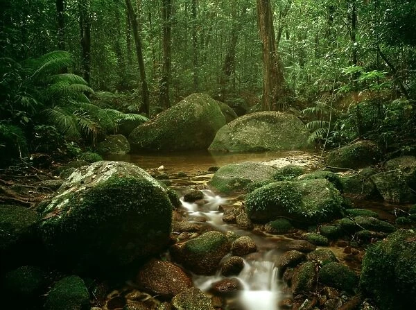 Forest stream and pool - Mossman Gorge section - Daintree National Park, Queensland, Australia JFL00166