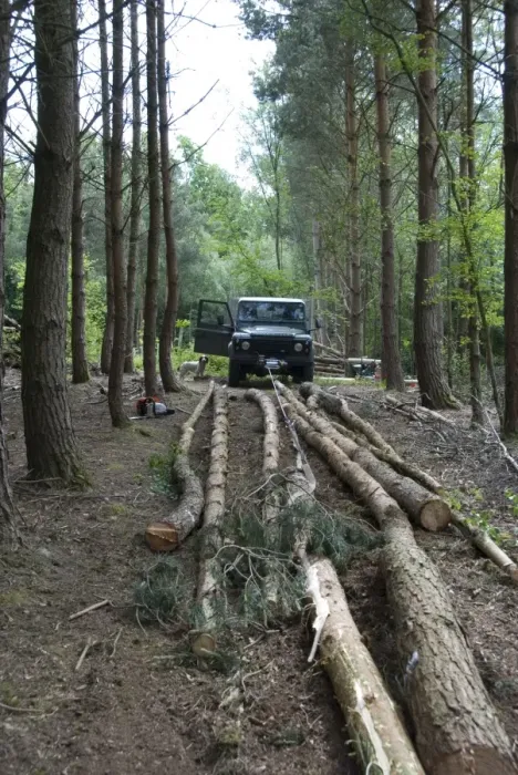 Framed Print : Forestry - Scots and Corsican Pine Trees - felled trunks being moved by winch attached to Land Rover Framed Print : Forestry - Scots and Corsican Pine Trees - felled trunks being moved by winch attached to Land Rover