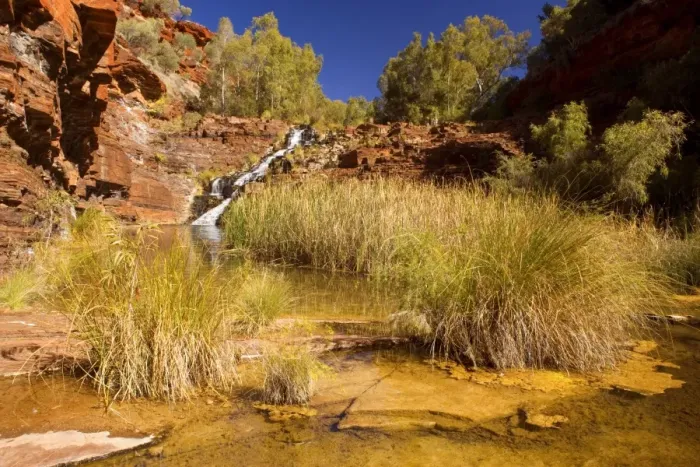 Framed Print : Fortescue Falls - water of a river tumbles down Fortescue Falls, the only permanent waterfall in Karijini National Park, and cascades into pools surrounded by vegetation Framed Print : Fortescue Falls - water of a river tumbles down Fortescue Falls, the only permanent waterfall in Karijini National Park, and cascades into pools surrounded by vegetation