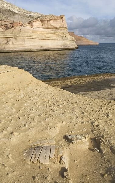 Fossil - Sea Turtle - San Jose Island - Baja CA - Mexico