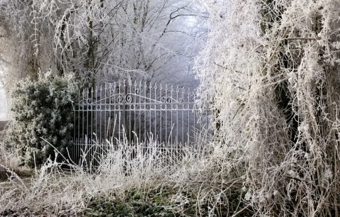 Framed Print : Frost covered gates and trees Framed Print : Frost covered gates and trees