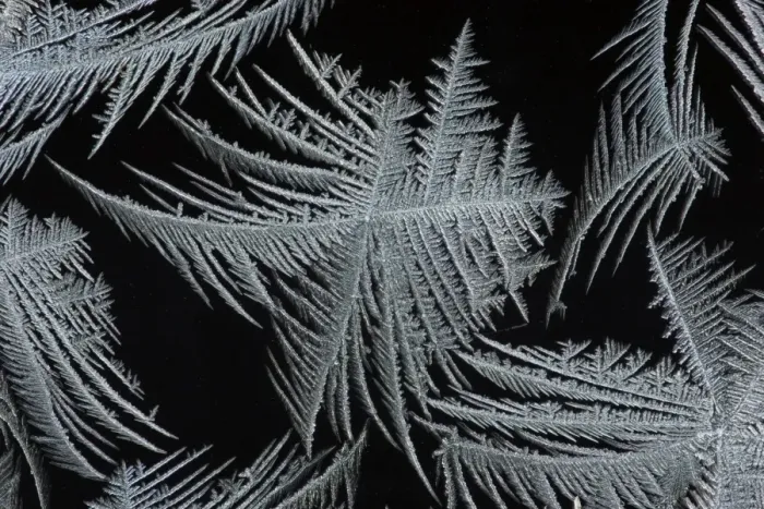 Framed Print : Frost Crystal - On car windscreen Lower Saxony, Germany Framed Print : Frost Crystal - On car windscreen Lower Saxony, Germany