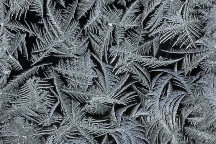 Framed Print : Frost Crystals - On car windscreen Lower Saxony, Germany Framed Print : Frost Crystals - On car windscreen Lower Saxony, Germany