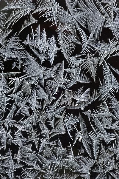 Frost Crystals - On car windscreen Lower Saxony, Germany