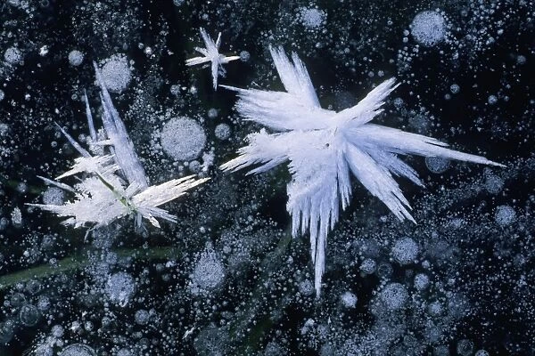 Frost crystals - on frozen pond in winter, Lower Saxony, Germany