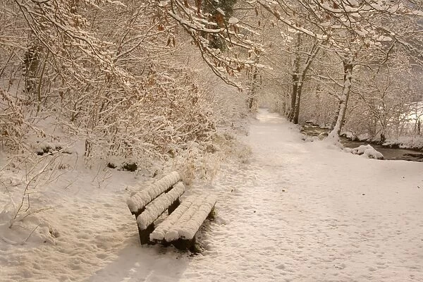 Frosty Winter Scene - deep snow covered winter landscape showing a foot path along a creek and a bench - Swabian Alb - Baden-Wuerttemberg - Germany