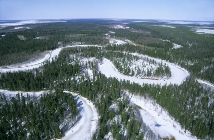 Framed Print : Frozen river meanders in Taiga-forest, a tributary of river Taz, helicopter aerial; early spring; typical; North Tumen region, Siberia, Russia Tz30. 0747 Framed Print : Frozen river meanders in Taiga-forest, a tributary of river Taz, helicopter aerial; early spring; typical; North Tumen region, Siberia, Russia Tz30. 0747