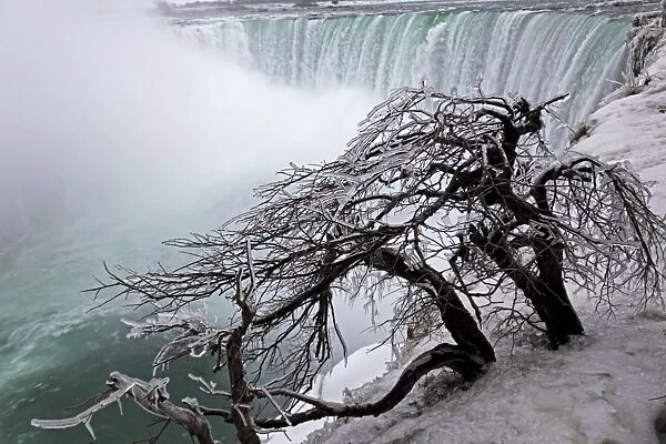 Frozen Trees Overlooing Niagara Falls - Canada