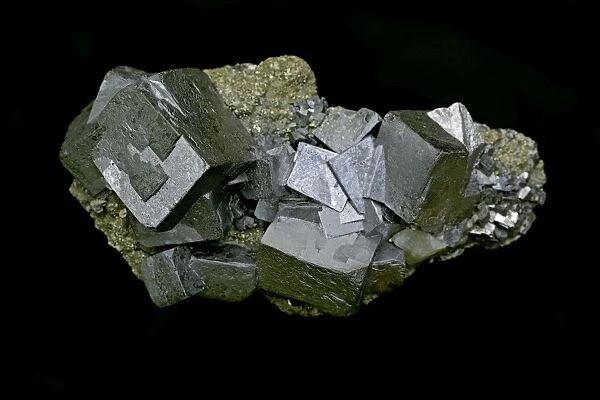 Galena (PbS - lead sulfide) -The primary ore of lead - Sweetwater mine - Viburnum trend - Missouri - USA