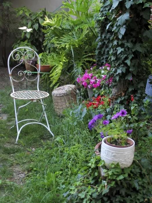 Framed Print : Garden - with flowers and chair Framed Print : Garden - with flowers and chair