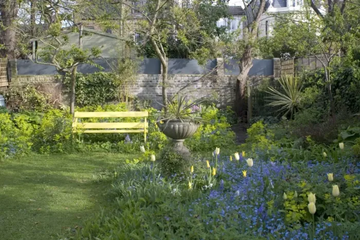Framed Print : Garden Flowers including Smyrnium perfoliatum behind bench - Spring Framed Print : Garden Flowers including Smyrnium perfoliatum behind bench - Spring