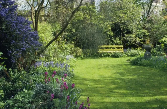 Framed Print : Garden - plants flowers & lawn, in spring Framed Print : Garden - plants flowers & lawn, in spring
