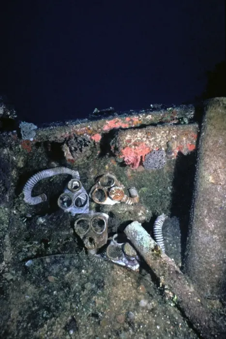 Framed Print : Gas masks - Lying on a Japanese war time wreck 100 feet down in Truk Lagoon. Truk Islands Framed Print : Gas masks - Lying on a Japanese war time wreck 100 feet down in Truk Lagoon. Truk Islands