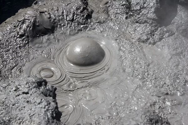 Geothermal Activity - close-up of boiling mud. Hell's Gate geothermal reserve Tikitere  /  Rotorua - North Island - New Zealand