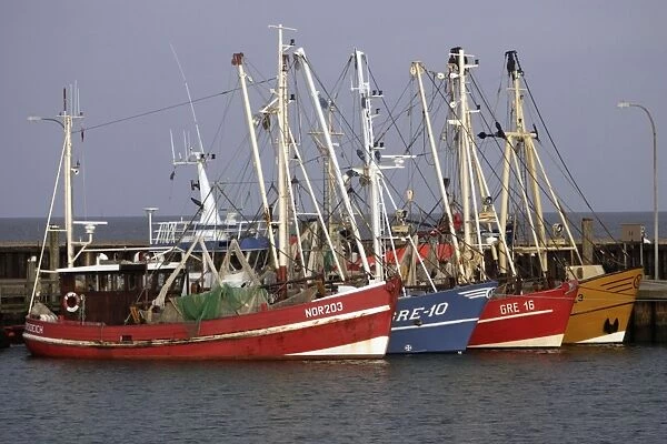 Germany - Fishing Boats in harbour. Island of Sylt. Schleswig Holstein, North-West coast of Germany