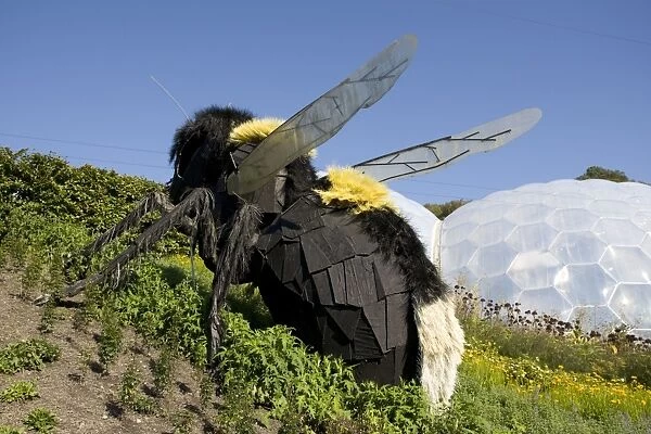 Giant bee model - Eden Project Bodelva St Austell Cornwall UK