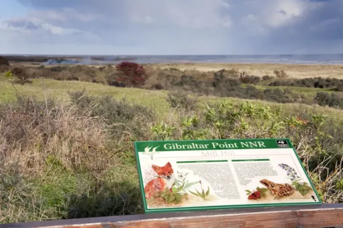 Framed Print : Gibraltar Point - National Naure Reserve - Lincolnshire - UK Framed Print : Gibraltar Point - National Naure Reserve - Lincolnshire - UK