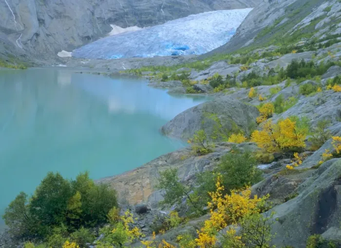 Framed Print : Glacier blue ice and glacial lake of Nigardsbreen glacier decorated with colourful turned mountain birches Nigardsbreen, Jostedalsbreen National Park, Norway Framed Print : Glacier blue ice and glacial lake of Nigardsbreen glacier decorated with colourful turned mountain birches Nigardsbreen, Jostedalsbreen National Park, Norway