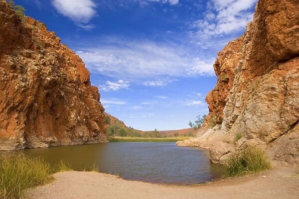 Glen Helen Gorge - entrance to Glen Helen Gorge and its permanent waterhole which is an important habitat for wildfowl. High, red cliff walls rise up to the left and right of the waterhole - Glen Helen Gorge, West MacDonnell National Park