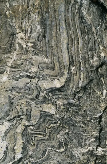Framed Print : Gneiss Metamorphic Rock, Venezuela, Merida Andes, alt. 4700m Framed Print : Gneiss Metamorphic Rock, Venezuela, Merida Andes, alt. 4700m