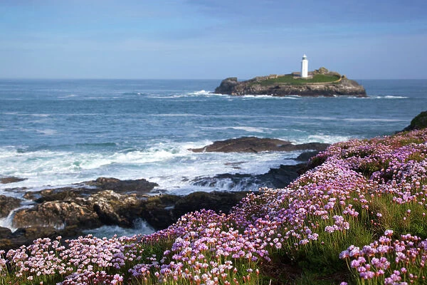 Godrevy Island and Lighthouse - from Gwithian - thrift