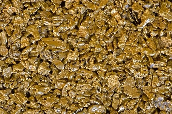Gold Nuggets - California - from alluvial deposit