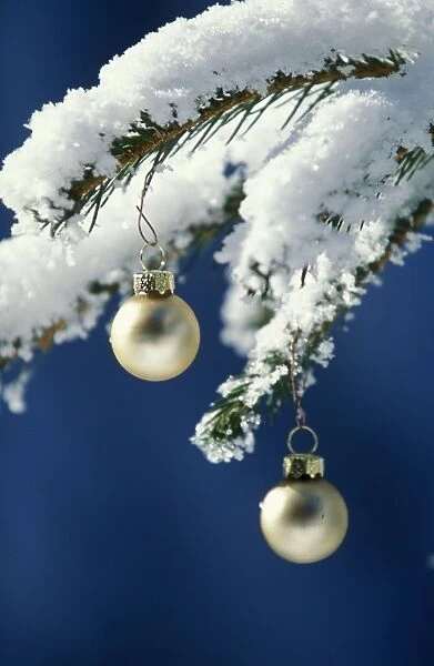 Golden balls on a pine branch with snow Christmas tree decoration