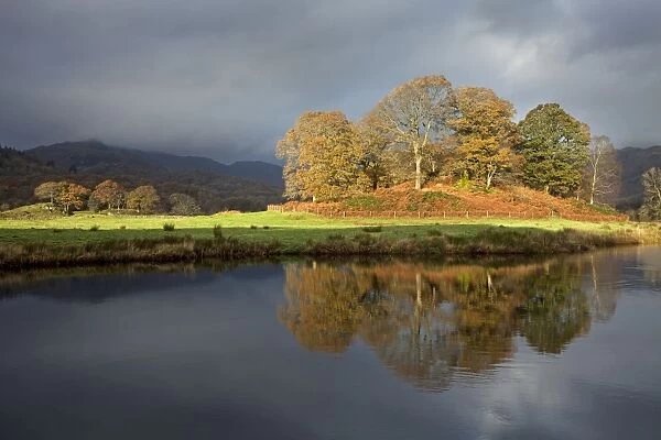 Golden reflection in the river Brathey - Elterwater - Lake District