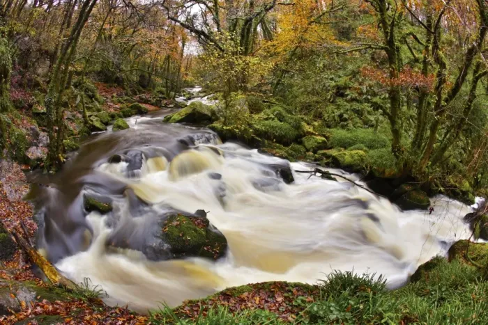 Framed Print : Golitha Falls - NNR - Cornwall - UK - Autumn Framed Print : Golitha Falls - NNR - Cornwall - UK - Autumn