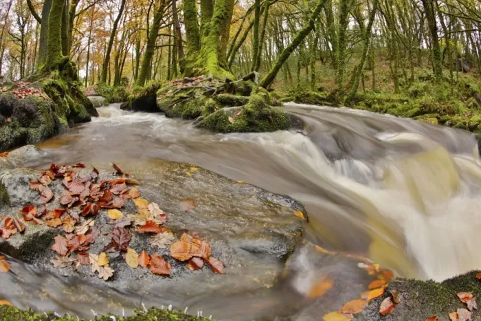 Framed Print : Golitha Falls - NNR - Cornwall - UK - Autumn Framed Print : Golitha Falls - NNR - Cornwall - UK - Autumn