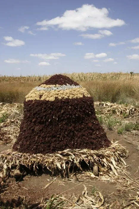 Framed Print : Granary - Sorghum  /  Millet. Gidole - Ethiopia Latin also Sorghum vulgare