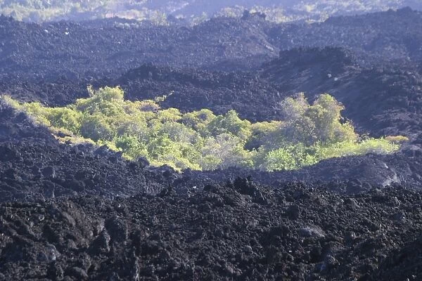 Grande Comore Island - Lava from Karthala Volcano Indian Ocean