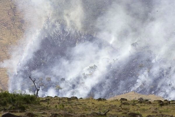 Grass fire along the escarpment - Masai Mara Triangle - Kenya