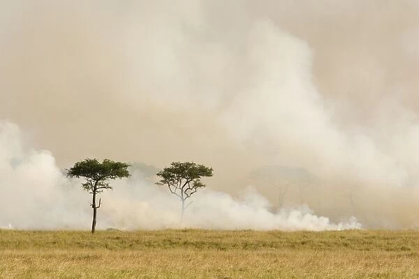 Grass fire - Masai Mara Triangle - Kenya