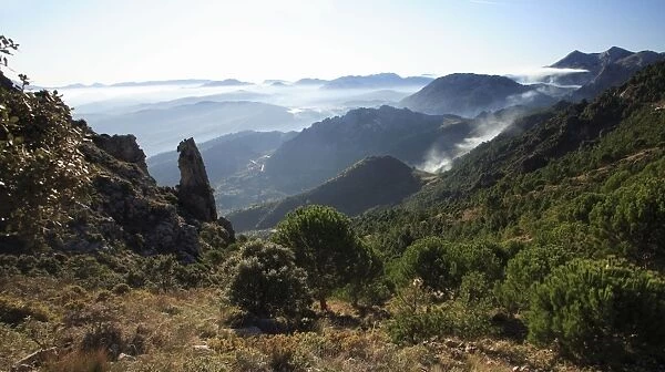 Grazalema National Park - mountains with morning mist, Andalucia, Spain
