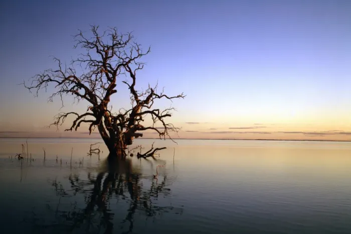 Framed Print : GRB00190. AUS-822. Lake Cawndilla at dawn with drowned tree Framed Print : GRB00190. AUS-822. Lake Cawndilla at dawn with drowned tree