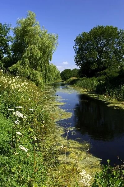 The Great Western Canal. UK It is navigable by a horse-drawn barge for a stretch of two miles, out of Tiverton, Devon. The remaining length of the canal is un-used by craft. Good cycling on the tow-path and many wild flowers