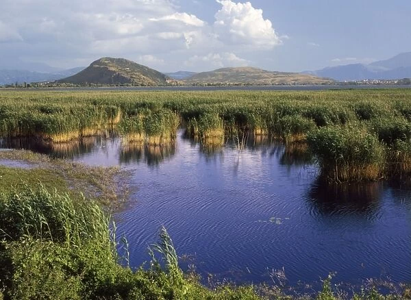 Greece - wildlife site fringed with reeds Lake Ioannina North West Greece