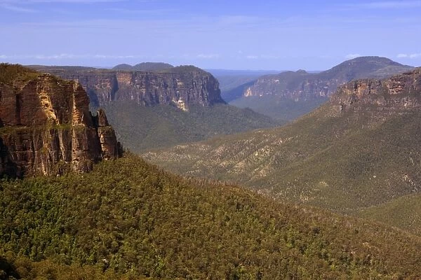 Grose Valley - view from Govetts Leap Lookout towards the vast expanse of the forest-clad wilderness of Grose Valley - Blue Mountains National Park, New South Wales, Australia