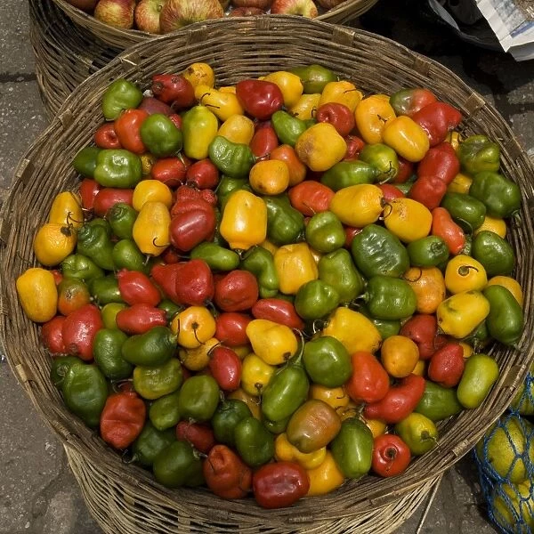 Guatemala - basket of peppers at market