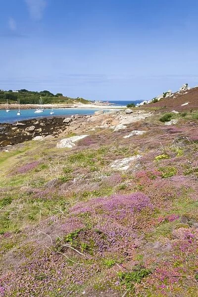Gugh - St Agnes - Isles of Scilly - UK