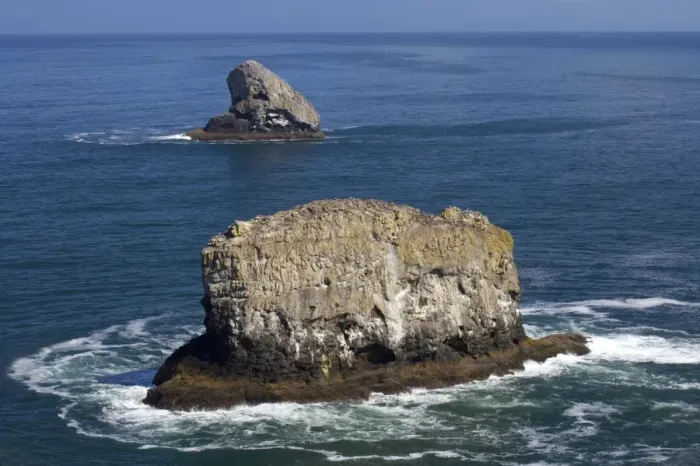 Framed Print : Guillemot Covered Stacks Cape Mears Oregon, USA LA000915 Framed Print : Guillemot Covered Stacks Cape Mears Oregon, USA LA000915