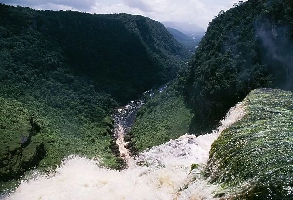 Guyana Kaieteur Gorge, view from top of falls. Also shows primary Rainforest, South America