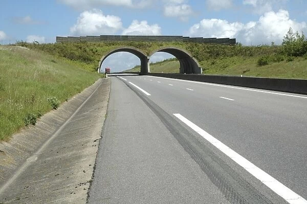 Habitat 'Green Bridge' on French autoroute (south of Calais) France