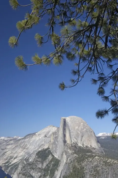 Framed Print : Half Dome from Glacier Point Yosemite National Park California, USA LA000508 Framed Print : Half Dome from Glacier Point Yosemite National Park California, USA LA000508